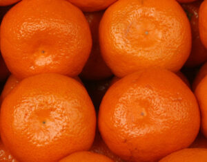 Mandarinen