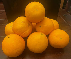 Washington Navel Orangen