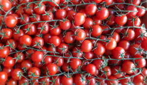 Tomaten